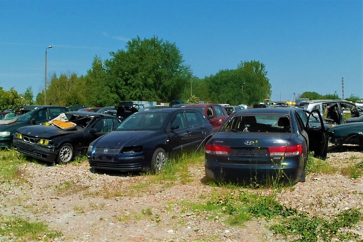 Warsztaty dla aktorów i kaskaderów Stunt Fight Camp w Szczecinie