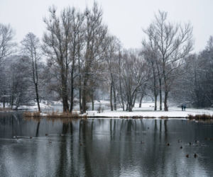 Skawiński park w zimowej otoczce