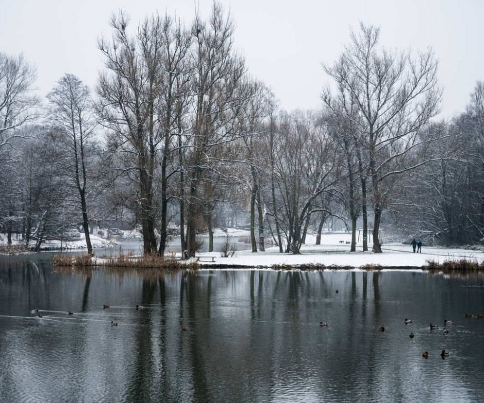 Skawiński park w zimowej otoczce