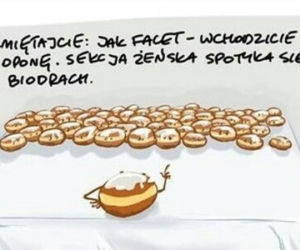 Pączek3