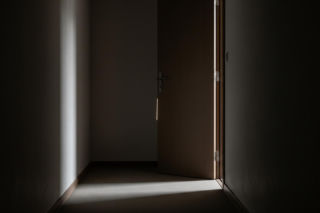 Proces za maltretowanie kota Pandka. Co naprawdę stało się w krakowskim mieszkaniu?