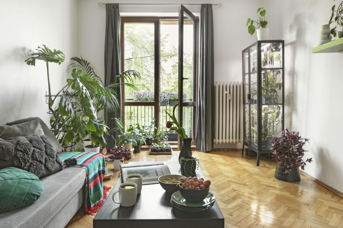 Wnętrza w stylu biophilic – salon „roślinoholików”