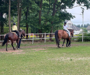 Rodzinny piknik w Kisielnicy już niebawem. Będzie aktywnie i zdrowo!