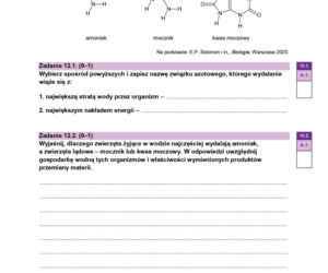 Próbna matura 2026 biologia. WSZYSTKIE arkusze CKE i odpowiedzi 14.01.