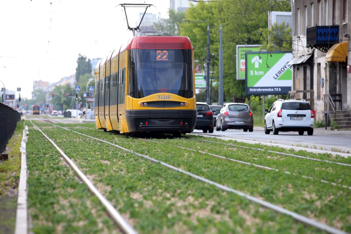 Torowisko na Grochowskiej w końcu pokrył rozchodnik
