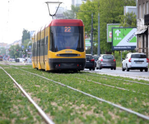 Torowisko na Grochowskiej w końcu pokrył rozchodnik