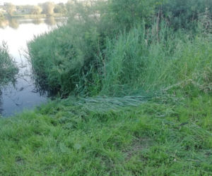 Samochód wykąpał się na Bagrach - i to dosłownie!