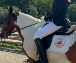 Grand Prix Olimpiad Specjalnych w jeździectwie we Francji