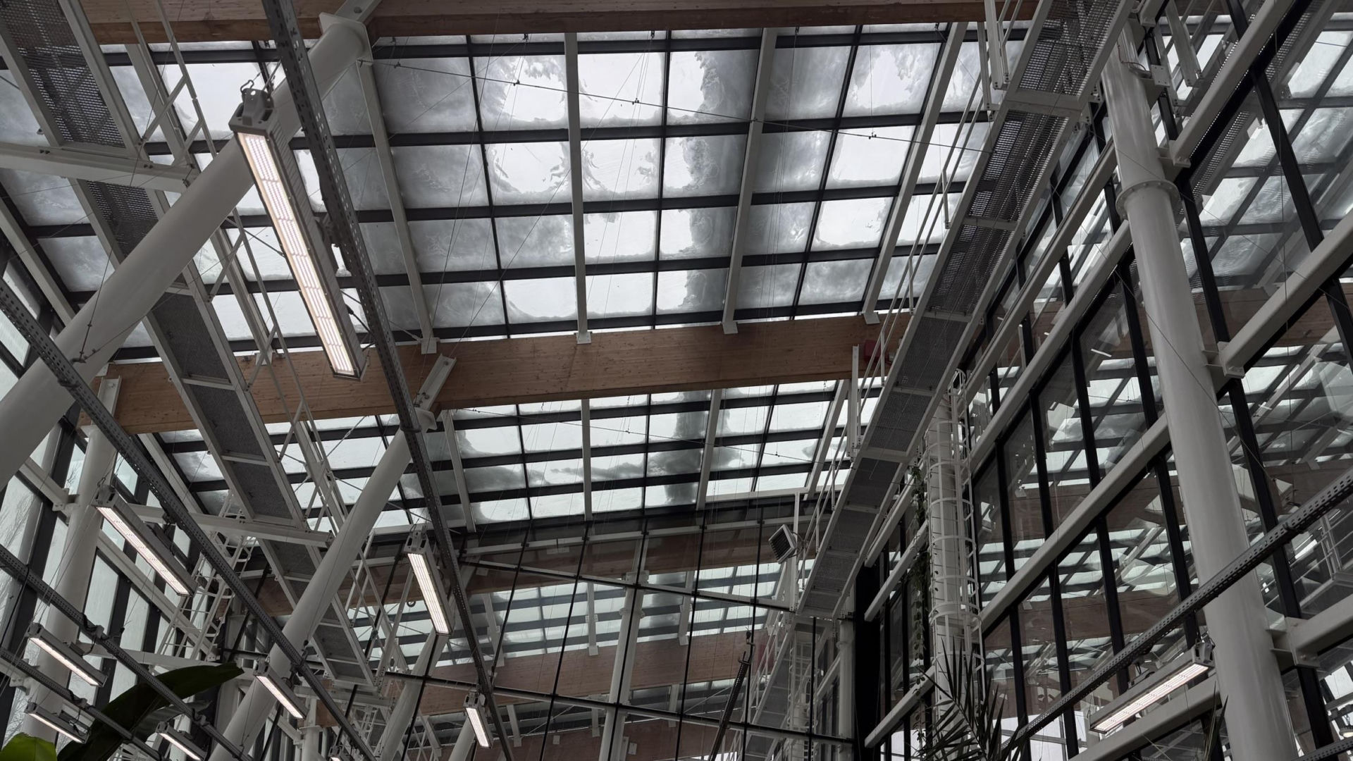 Egzotarium w Sosnowcu