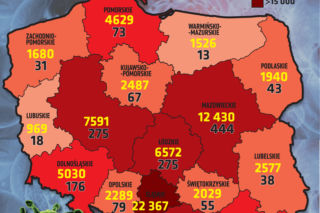 Koronawirus w woj. łódzkim. W którym powiecie jest TERAZ najwięcej zakażonych? [DANE]