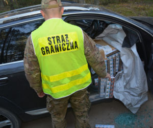 W Audi A6 zmieścił 23,5 tys. paczek papierosów o wartości 350 tys. zł