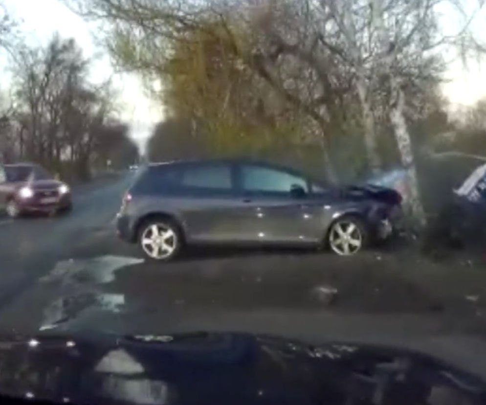 Seat Leon rozbił się na drzewie