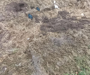 Zatłukł lekarkę, bo chciała od niego odejść? Wstrząsające ustalenia