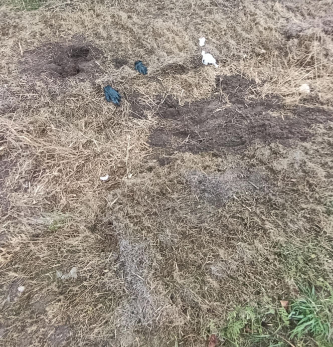 Zatłukł lekarkę, bo chciała od niego odejść? Wstrząsające ustalenia