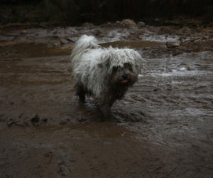 Niż Erminio w Grecji