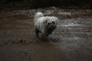 Niż Erminio w Grecji