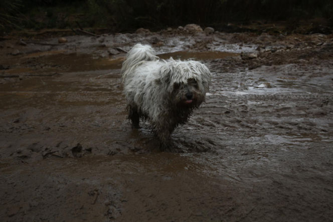 Niż Erminio w Grecji