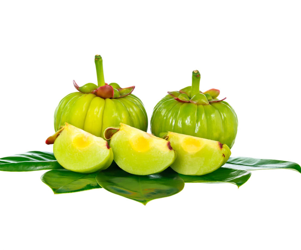 Garcinia Cambogia - właściwości odchudzające