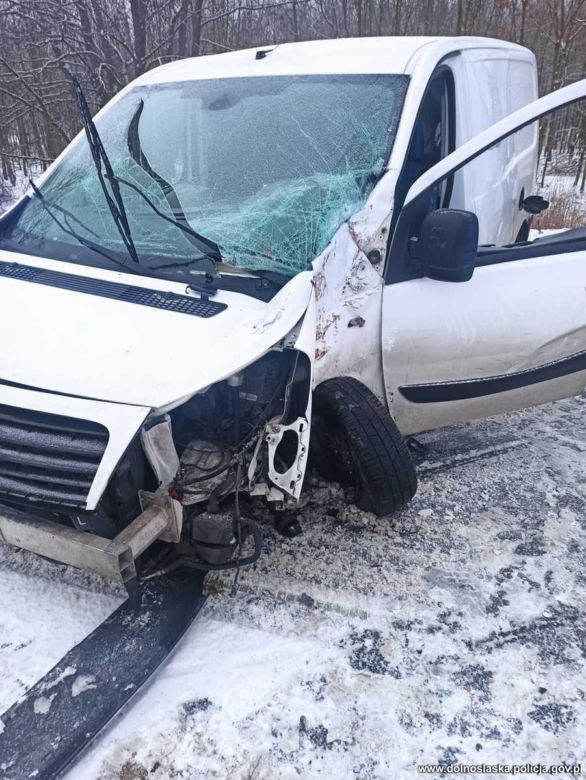 Wypadek busa w Niechlowie. Gdy policjanci zajrzeli do środka, oniemieli