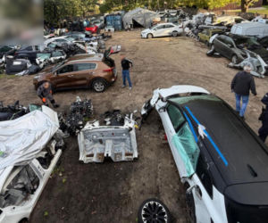 Jedna para kajdanek nie wystarczyła. Chłop jak dąb i spółka zatrzymani za bebeszenie kradzionych fur