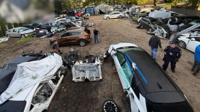 Jedna para kajdanek nie wystarczyła. Chłop jak dąb i spółka zatrzymani za bebeszenie kradzionych fur