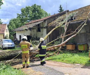 Drzewa na drogach i budynkach. Zniszczone namioty harcerzy. Walka z żywiołem  na Warmii i Mazurach
