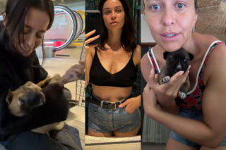 Malwina Wędzikowska uratowała psa