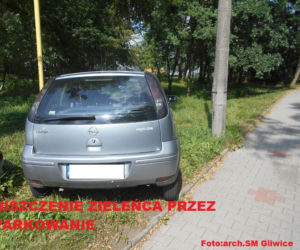 Janusze parkowania nie odpuszczają! Zobaczcie jak robią to najlepsi z nich