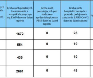 Koronawirus w województwie śląskim. 4 listopada aż 2165 nowych zakażeń. W których miastach najwięcej?