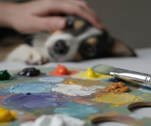 Marta Nawrocka z Dodą. Pierwsza dama włącza się w akcję ratunkową, ale czym konkretnie?