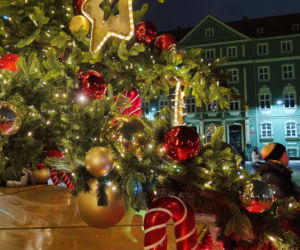 Choinka przed urzędem miasta w Szczecinie