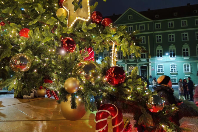 Choinka przed urzędem miasta w Szczecinie
