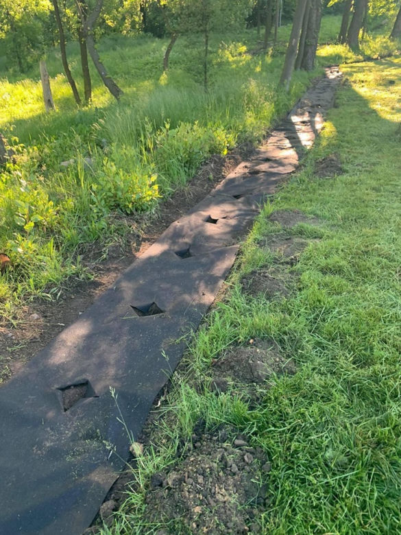 Dąbrowa Górnicza. OBRZYDLIWE zachowanie wandali na cmetarzu! Zobacz, co zrobili [ZDJĘCIA]