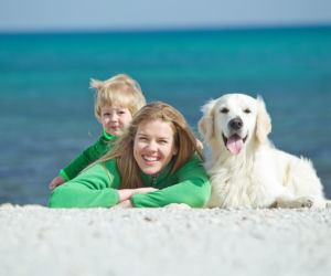 Majówka z pupilem – o czym pamiętać, planując urlop?