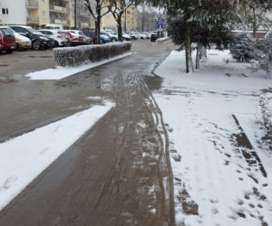 Dziś (19.03.) ostatni dzień zimy. Jutro (20.03.) początek astronomicznej wiosny