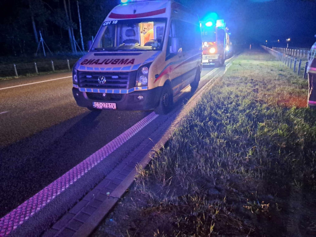 Kierowca uderzył w łosia na autostradzie i zginął! Tragiczny wypadek pod Toruniem [ZDJĘCIA]