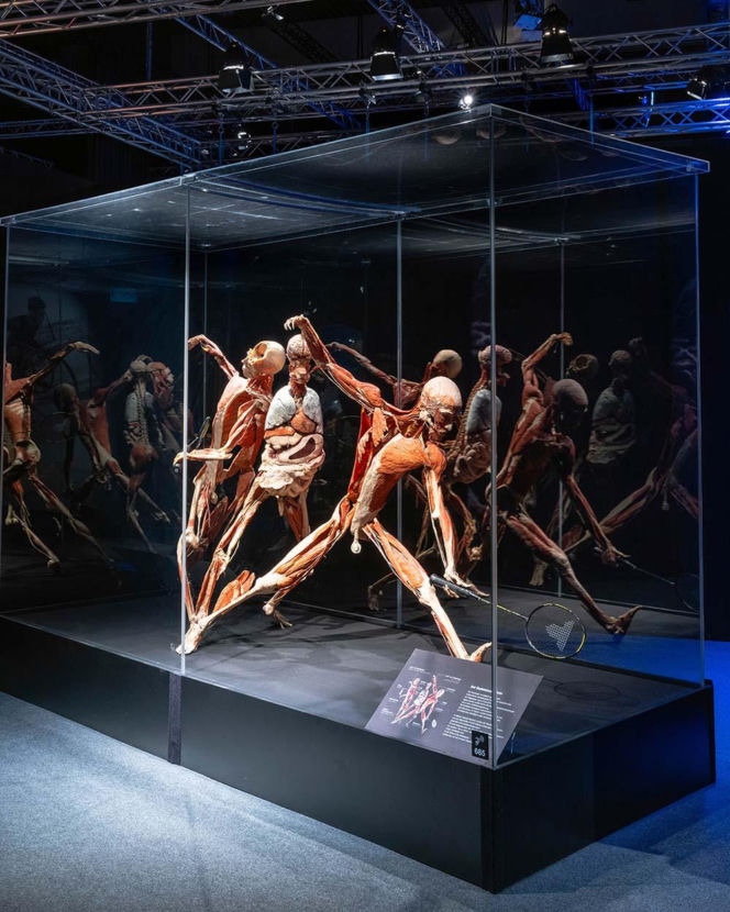 Body Worlds