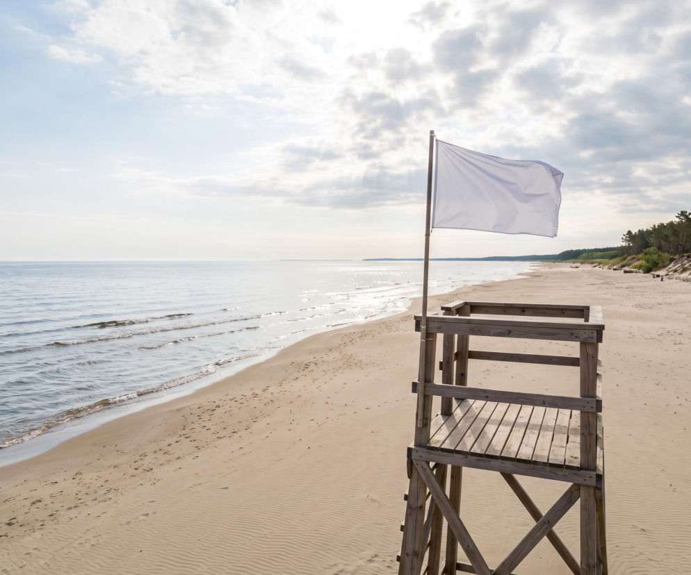 Sinice Stegna. Czy w Stegnie można się kąpać 30.07? Flaga, warunki pogodowe