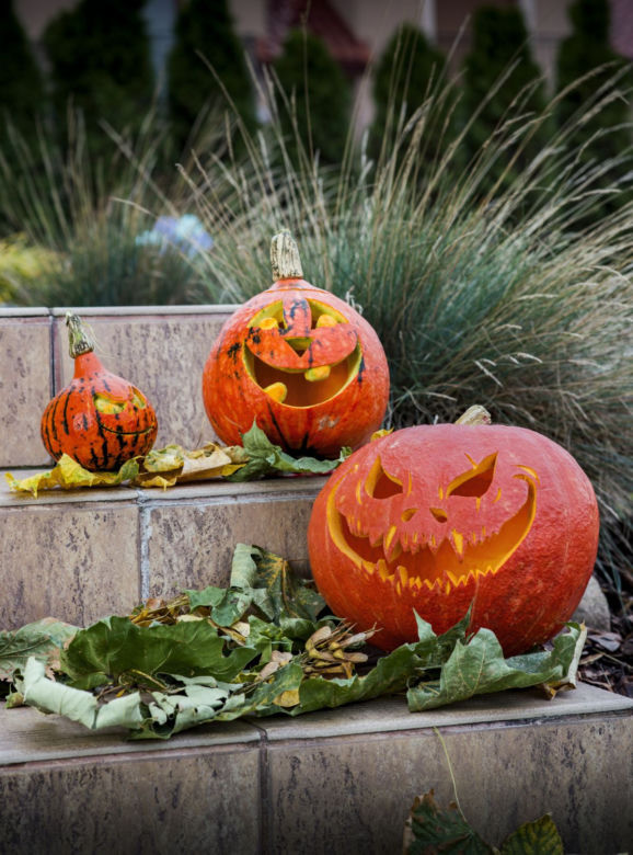 Dekoracje z dyni na Halloween