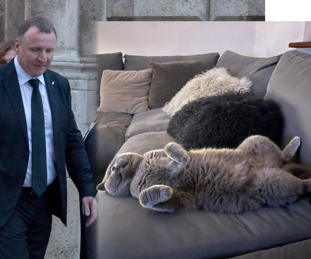  Jacek Kurski i kot