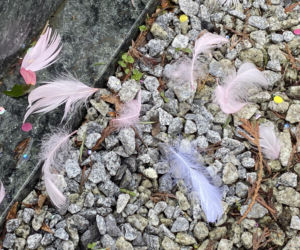 Magdalena Majtyka - grób