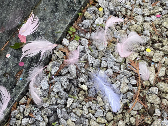 Magdalena Majtyka - grób