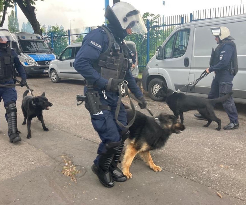 Ruch Chorzów świętuje. Kibice trafili do aresztu