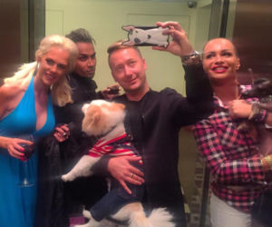 Oto NAJMODNIEJSZY pies na świecie! Daniel Jacob Dali o pupilu Żony Hollywood