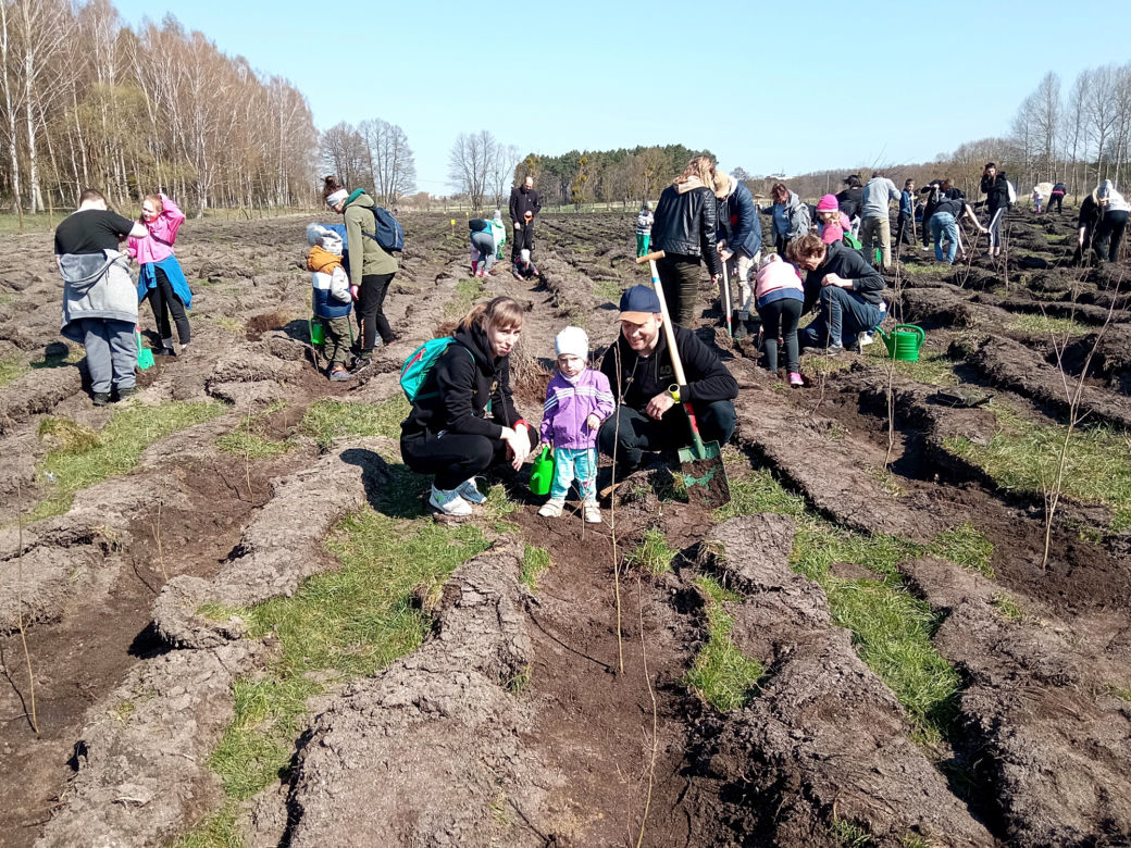 Akcja "Grudziądzanie sadzą las"!