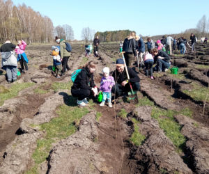 Akcja Grudziądzanie sadzą las!