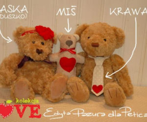 projekty pazury