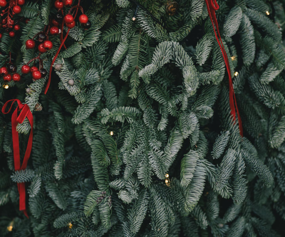 To one zastąpią modne kokardki. Masz je na swojej choince?