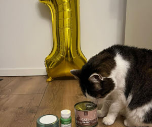 Panduś świętuje rocznicę nowego życia