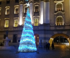 Świąteczne iluminacje na wrocławskich ulicach